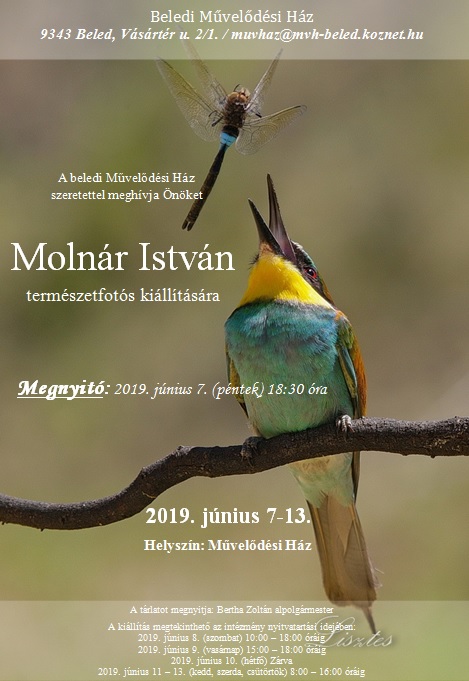 Molnar Istvan plakat vegleges